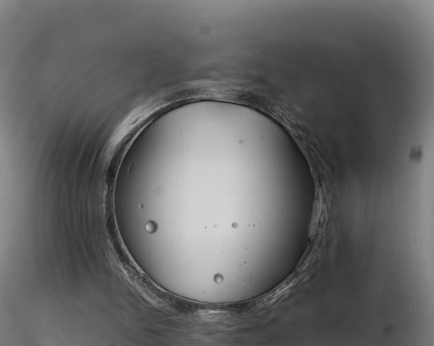 X0000116880150200912291249