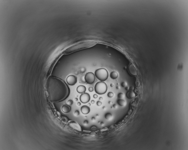 X0000116880151200912291249