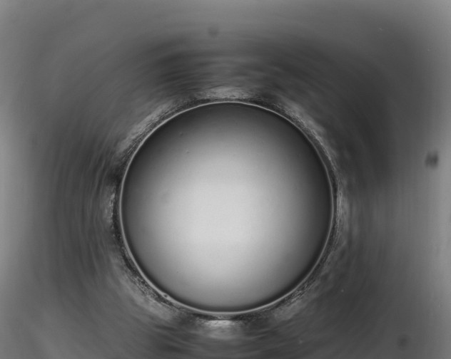 X0000116880153200912291249