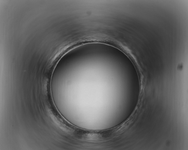 X0000116880154200912291249