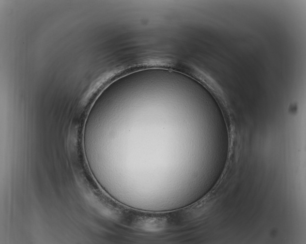 X0000116880155200912291249