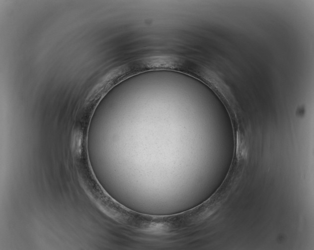 X0000116880157200912291249