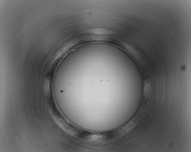 X0000116880158200912291249