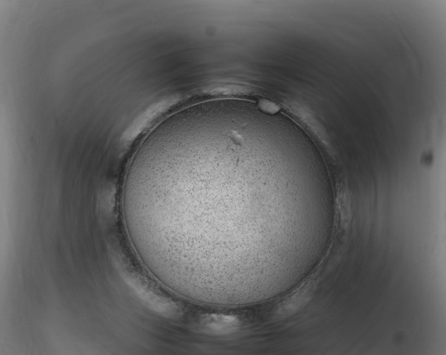 X0000116880159200912291249