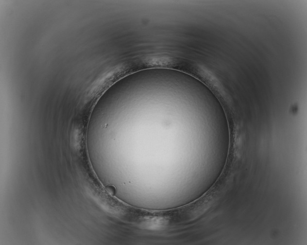 X0000116880161200912291249