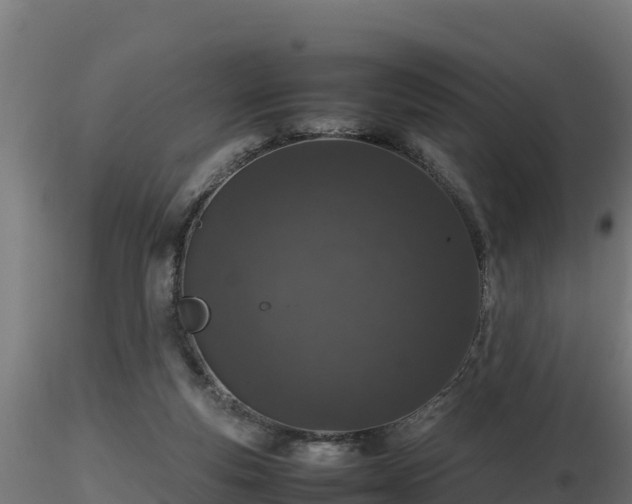 X0000116880163200912291249