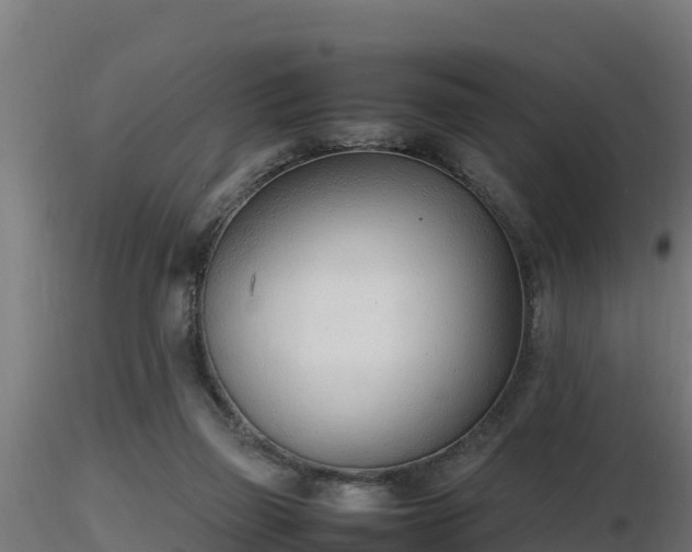 X0000116880165200912291249