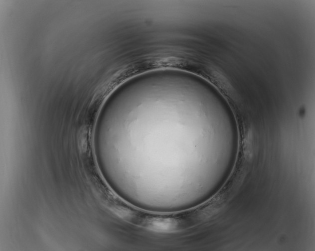 X0000116880169200912291250