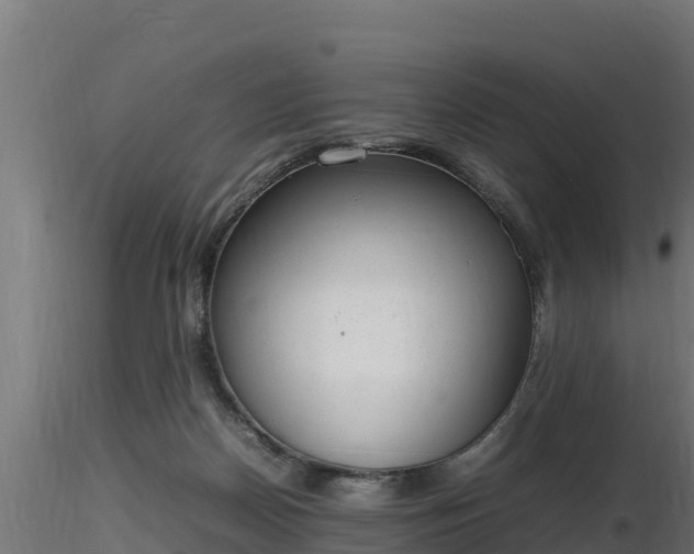 X0000116880170200912291250