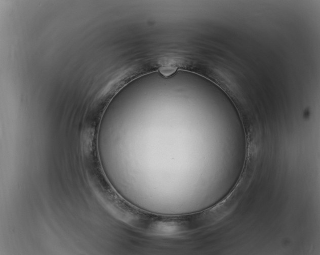 X0000116880171200912291250