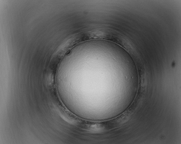 X0000116880173200912291250
