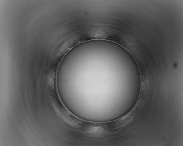 X0000116880175200912291250