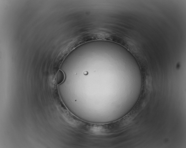 X0000116880177200912291250