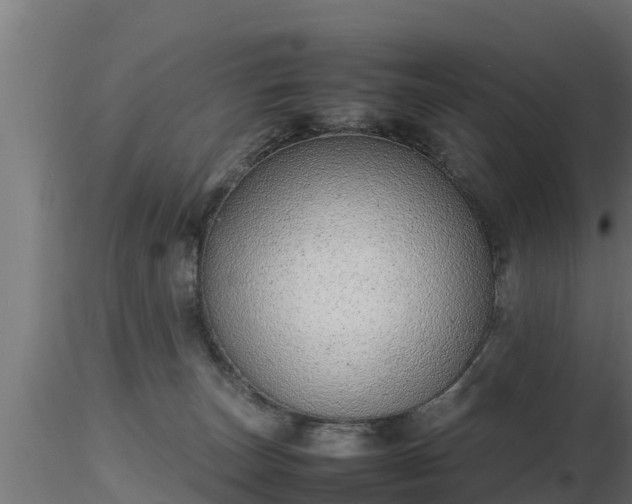 X0000116880179200912291250