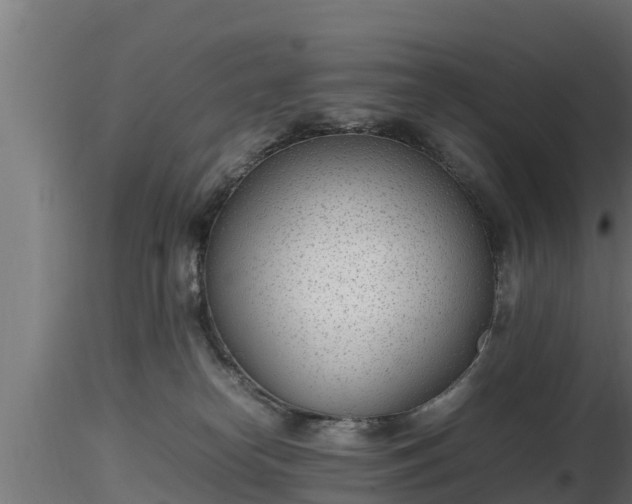 X0000116880182200912291250