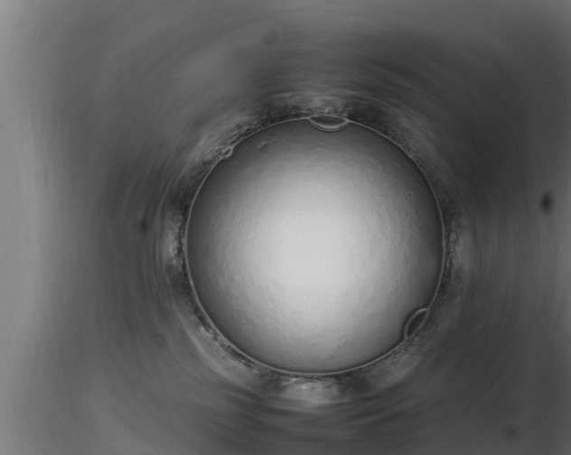 X0000116880185200912291250