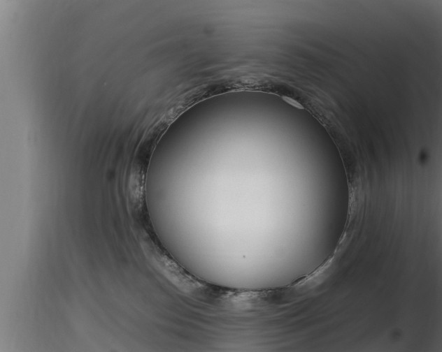 X0000116880186200912291250