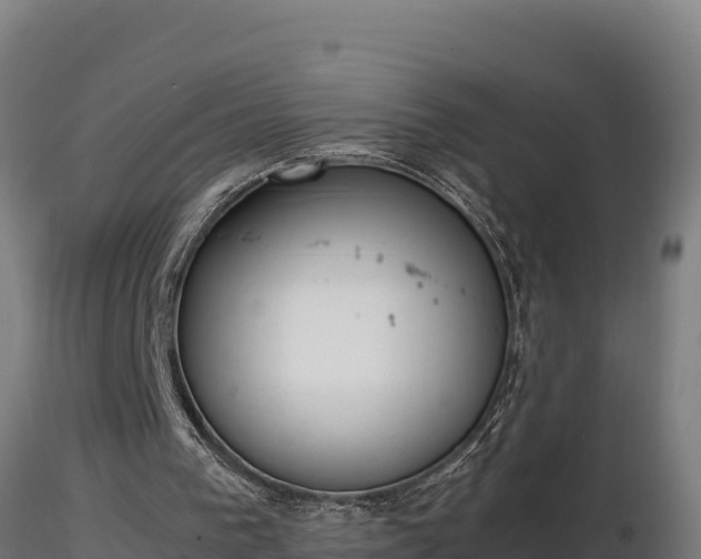 X0000116880193200912291249
