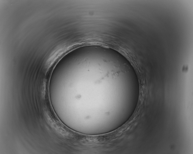 X0000116880194200912291249