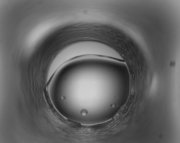 X0000116880195200912291249