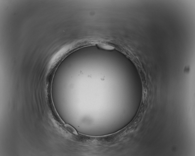 X0000116880197200912291249