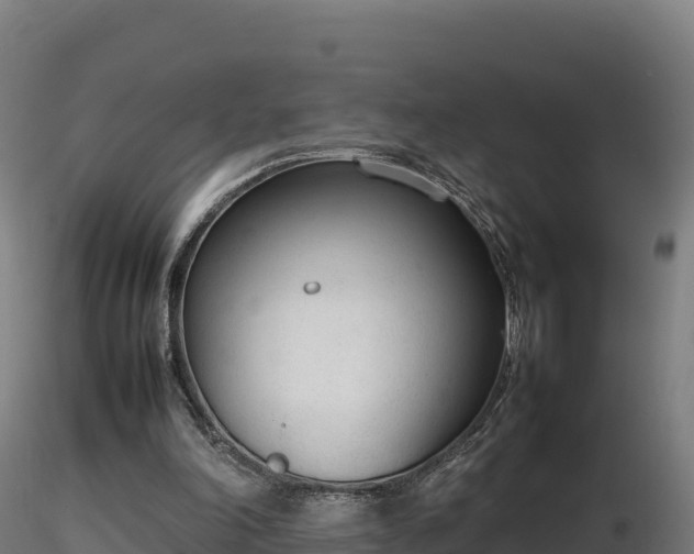 X0000116880198200912291249