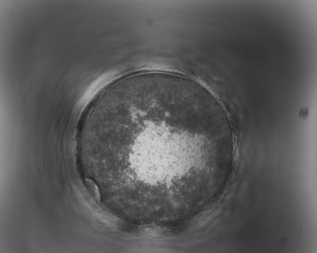 X0000116880199200912291249