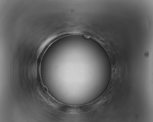 X0000116880200200912291249