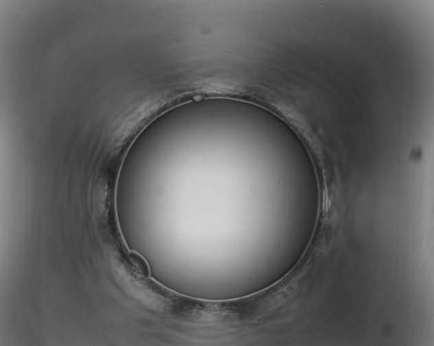 X0000116880201200912291249