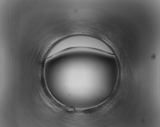 X0000116880203200912291249