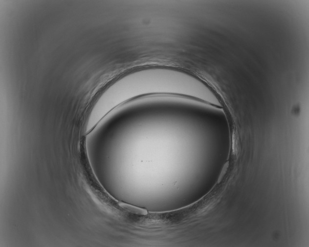 X0000116880205200912291249