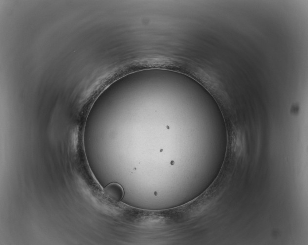 X0000116880206200912291249
