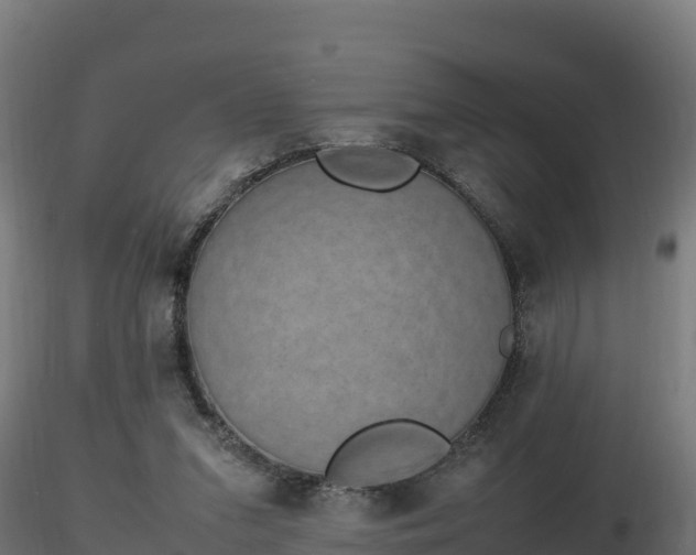 X0000116880207200912291249