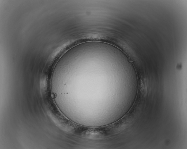 X0000116880208200912291249