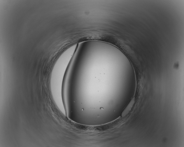 X0000116880209200912291249