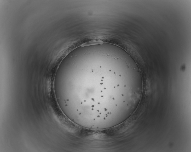 X0000116880210200912291249