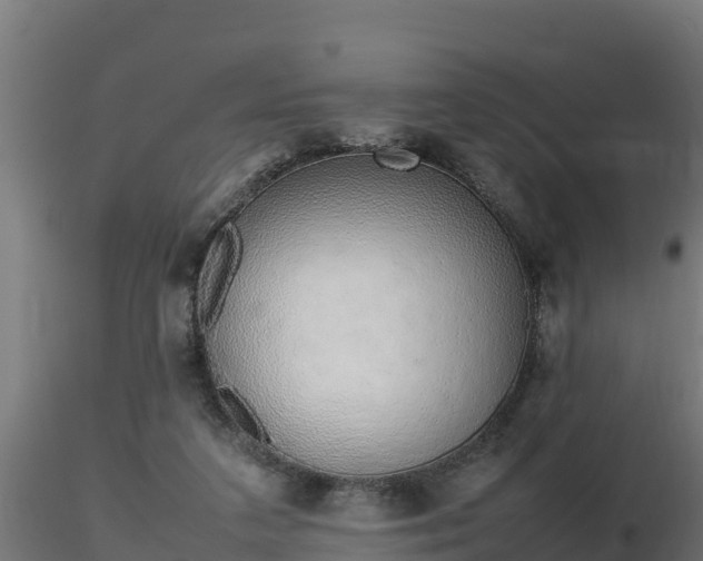 X0000116880211200912291249