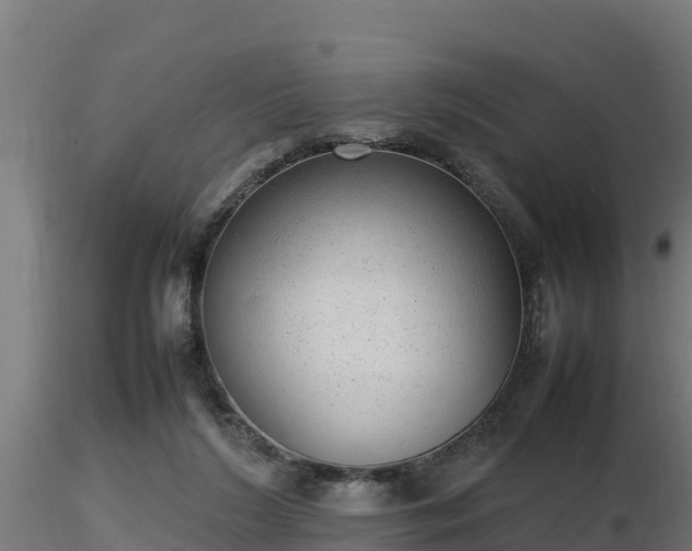 X0000116880212200912291249