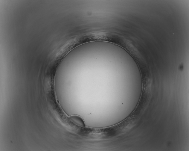X0000116880213200912291249
