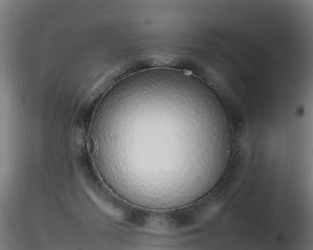 X0000116880215200912291249