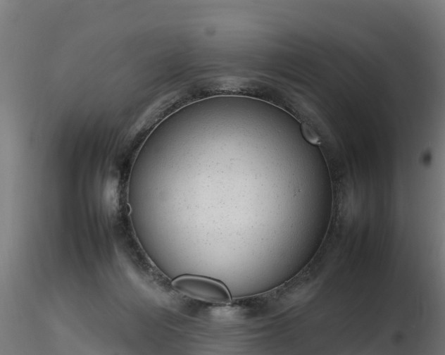 X0000116880216200912291249