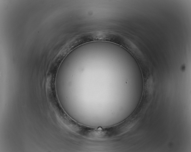 X0000116880217200912291249