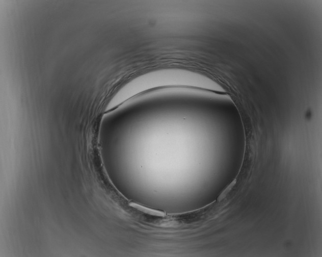 X0000116880219200912291249