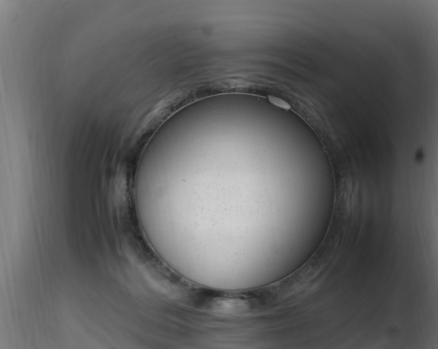 X0000116880220200912291249