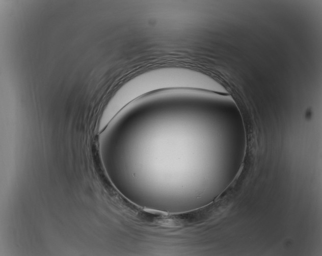 X0000116880221200912291249