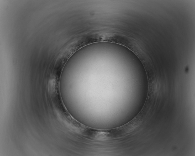 X0000116880222200912291249