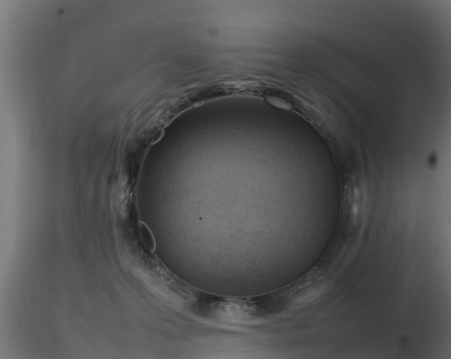 X0000116880223200912291249