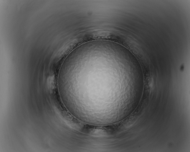 X0000116880224200912291249