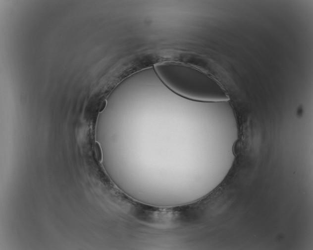 X0000116880225200912291249