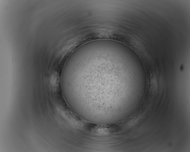 X0000116880228200912291249
